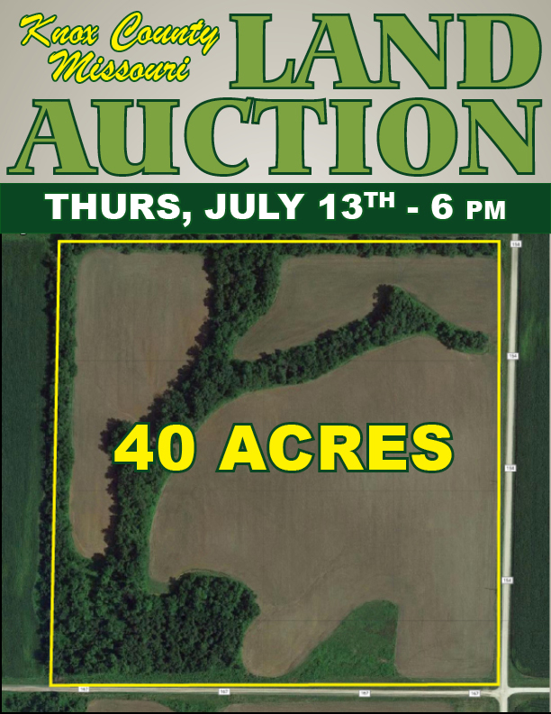 McAfee Hayes Auction Service